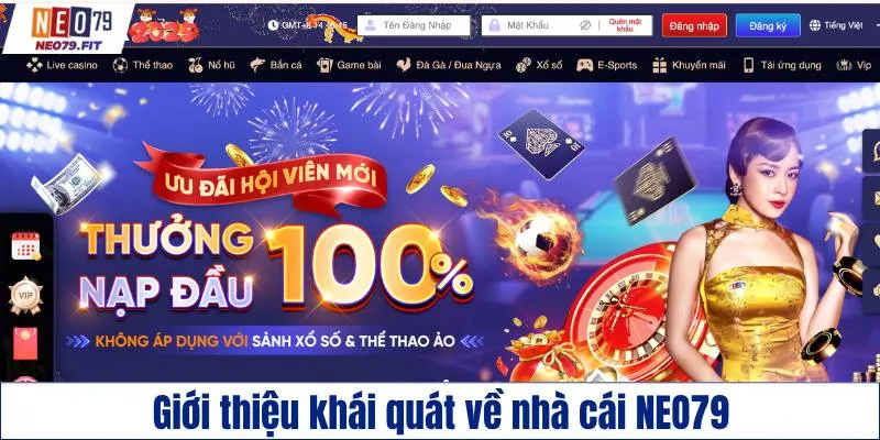Giới thiệu khái quát sơ lược về NEO79