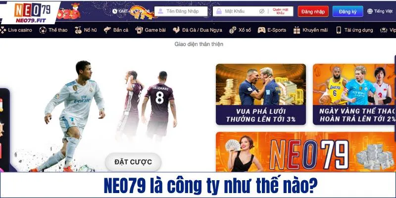 NEO79 là công ty như thế nào?