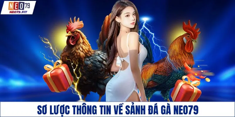 Sơ lược thông tin về sảnh đá gà NEO79